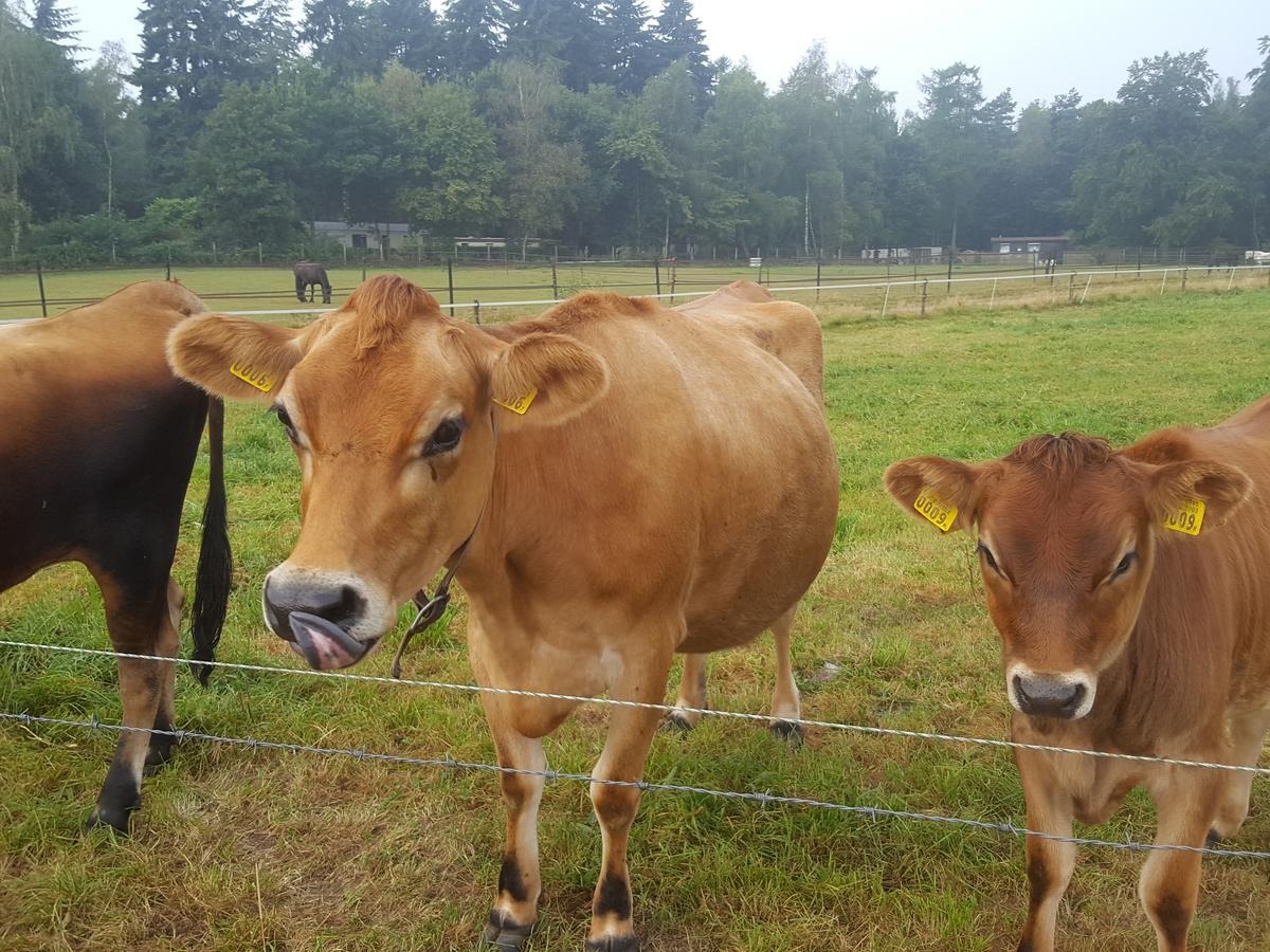 De Priesnitzhoeve Laag-Soeren Exteriér fotografie
