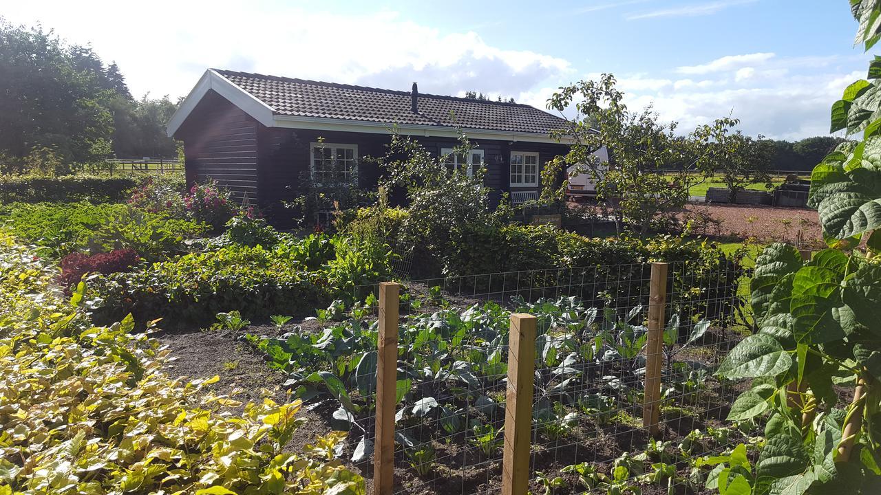 De Priesnitzhoeve Laag-Soeren Exteriér fotografie